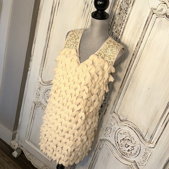 Champagne & Strawberry Sleeveless V Neck 3D Blush and Lace Statement Dress S/8P - Picture 3 of 14